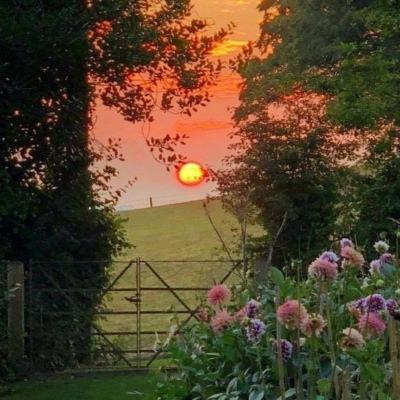 b体育在线登陆素描版