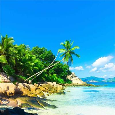 关于“开云电竞APP”手机app下载