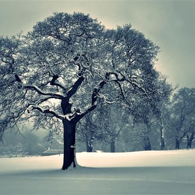 pg电子·模拟器(试玩游戏)下载手机版